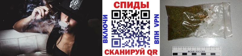 Купить  Лермонтов  БУТИРАТ Butirat 