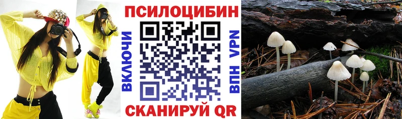 Купить  Лермонтов  Псилоцибиновые грибы GOLDEN TEACHER 